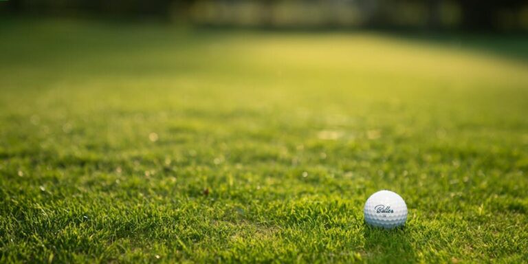 Do heavier or lighter golf balls go further?