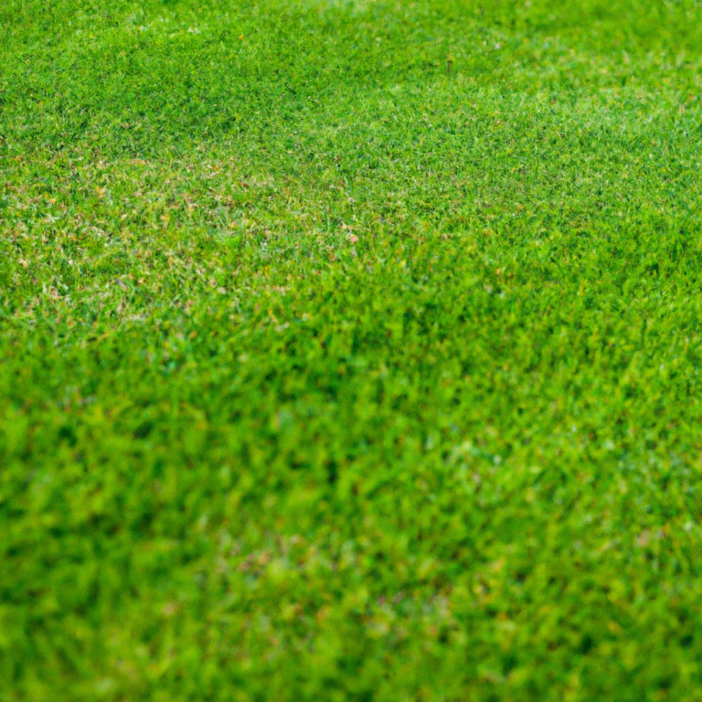 Types of Grass Used on a Golf Course